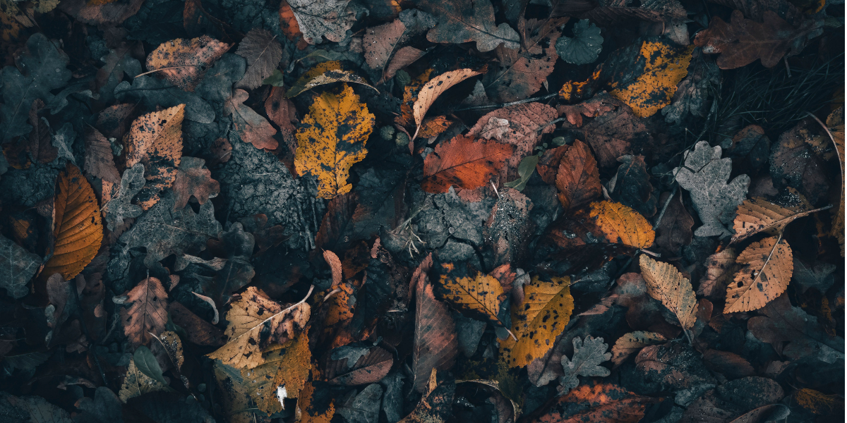 Leaf Mulch